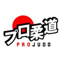 Pro Judo Icon