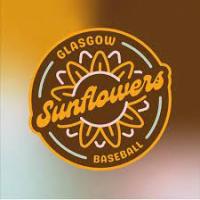 Glasgow Sunflowers Baseball (Adults)