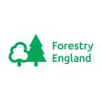 Feel Good in the Forest Guided Walk - Gresley, Tunnel & Swainspark Woods