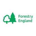 Feel Good in the Forest Guided Walk - Gresley, Tunnel & Swainspark Woods Icon