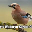 Jay's Wadoryu Karate club Icon