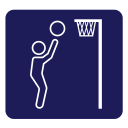 Workplace Netball Challenge Icon